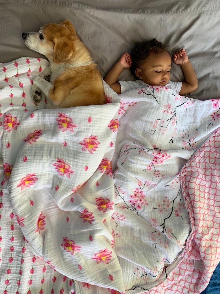 ORGANIC SNUG BLANKET - LOTUS– Softness That Grows With Your Little One